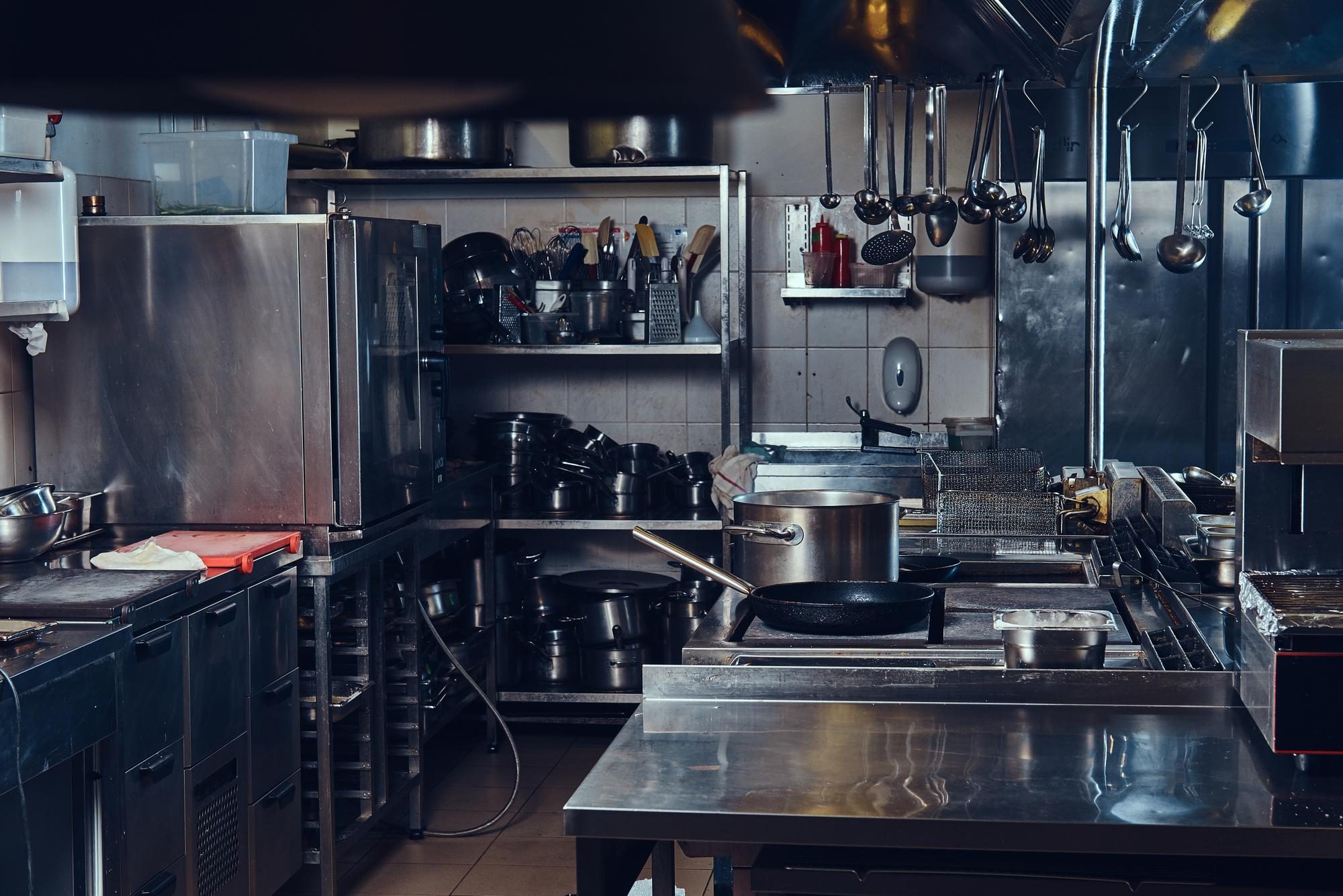 Control de plagas en restaurantes: cómo prevenir infestaciones
